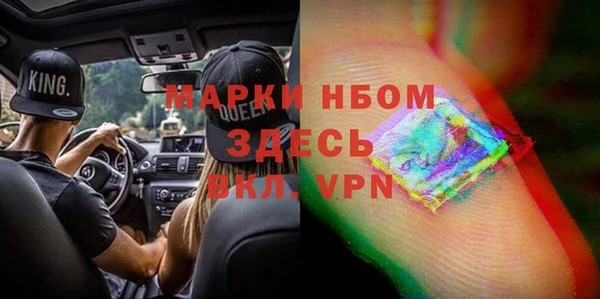 сатива Белокуриха