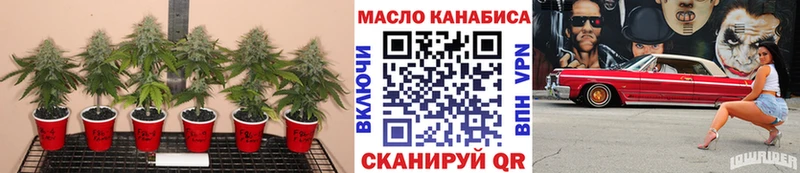 Купить закладки  Куса  Дистиллят ТГК концентрат 