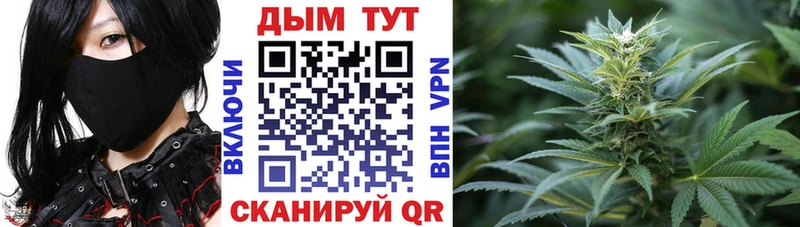 Купить  Куса  Конопля VHQ 